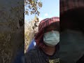ចឺម