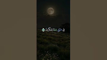 أكتب شيئ تؤجر عليه ♡قرآن الكريم ♡ القارئ إسلام صبحي #quran #قران_كريم #اكسبلور #اجر_لي_ولكم #لايك