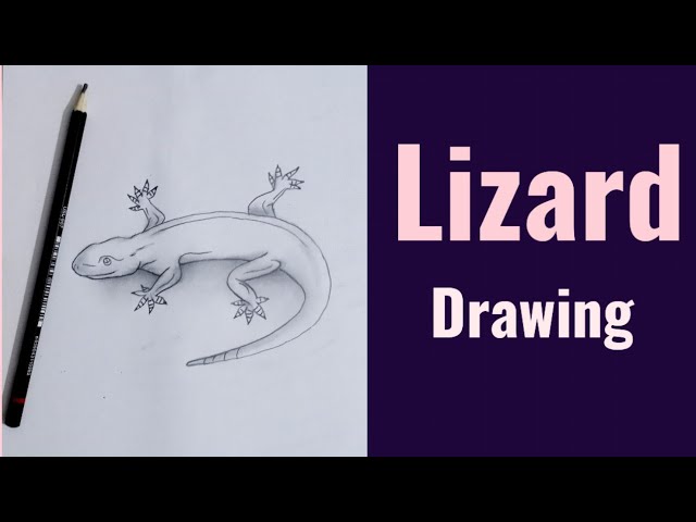 Life Drawing Reptiles - Nicola Schofield sketchbook