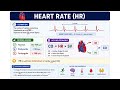 🫀 Cardiac Cycle Explained | Cardiac Output, Stroke Volume & Heart Rate Made Easy