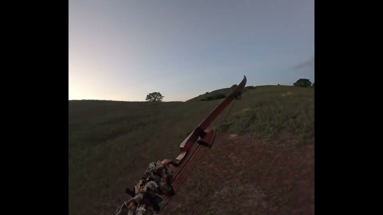 chasse a l'arc traditionnel