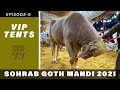 COW MANDI SOHRAB GOTH 2021 KARACHI | VIP Tents | Episode 5 | Faisal Javed TV