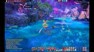 TERA Online Level 60 Slayer vs Warrior