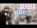 OUR GENDER REVEAL! BABY MARLAR IS A...| Casey Holmes Vlogs