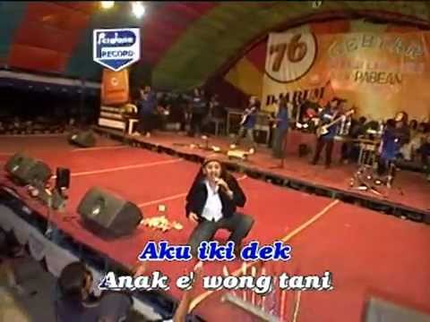 PALAPA REMBANG...  WONG DESO...  SONY JOSZ...