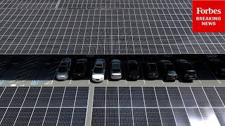 Forbes Reporter Explains How Teslas Solar Panel Business Went From Failed To A Great Business