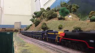 IMG 8291