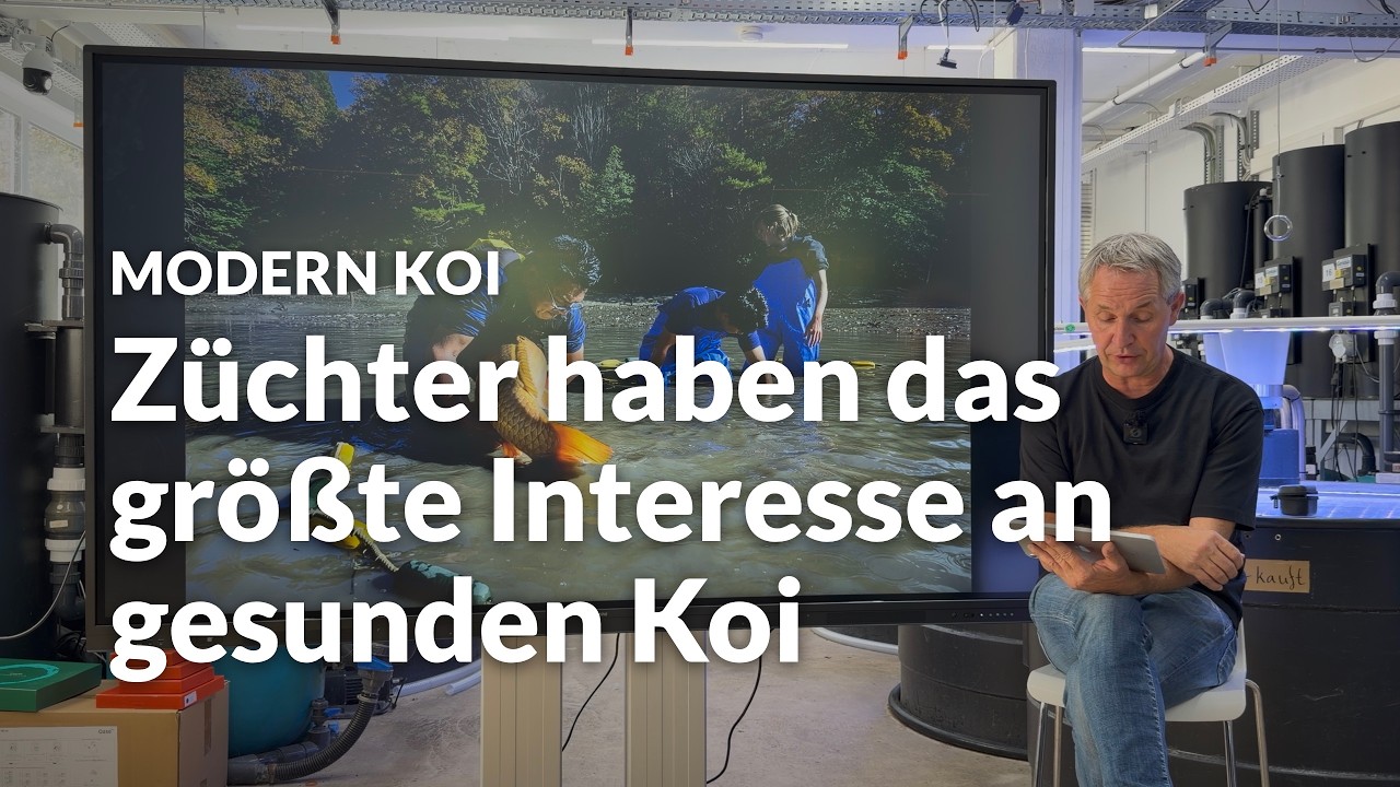 Macht schnelles Wachstum Koi krank? | Modern Koi Blog #8334