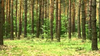 Video thumbnail of "Polskie biesiadne Teściowo, ty stary rowerze [Full HD]"