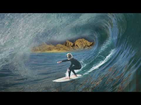 The SurfinTynes - "It's Surfin Monkey Time!"