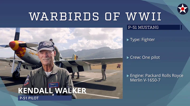 Warbirds of World War II - P-51 Mustang