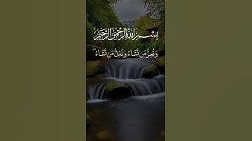 تلاوة خاشعة ومؤثرة بصوت جذاب ومؤثر #تلاوة_خاشعة #القرآن_الكريم #تلاوة_مؤثرة #اكسبلور #لايك