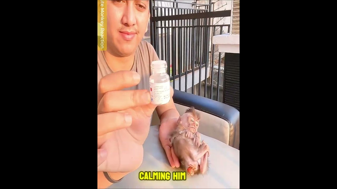 Break Heart Seeing Dad Apply Medicine On Tail Dino