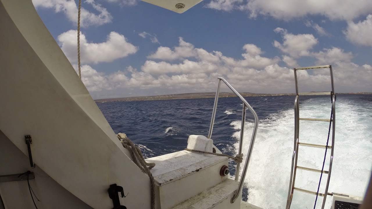 Danny Hensley Live Stream