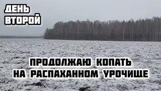 Продолжаю копать с TX 850 на распаханном урочище. День второй