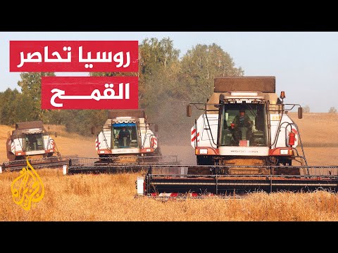%30 من قمح العالم تنتجه روسيا وأوكرانيا.. فهل سيعوضه العالم؟