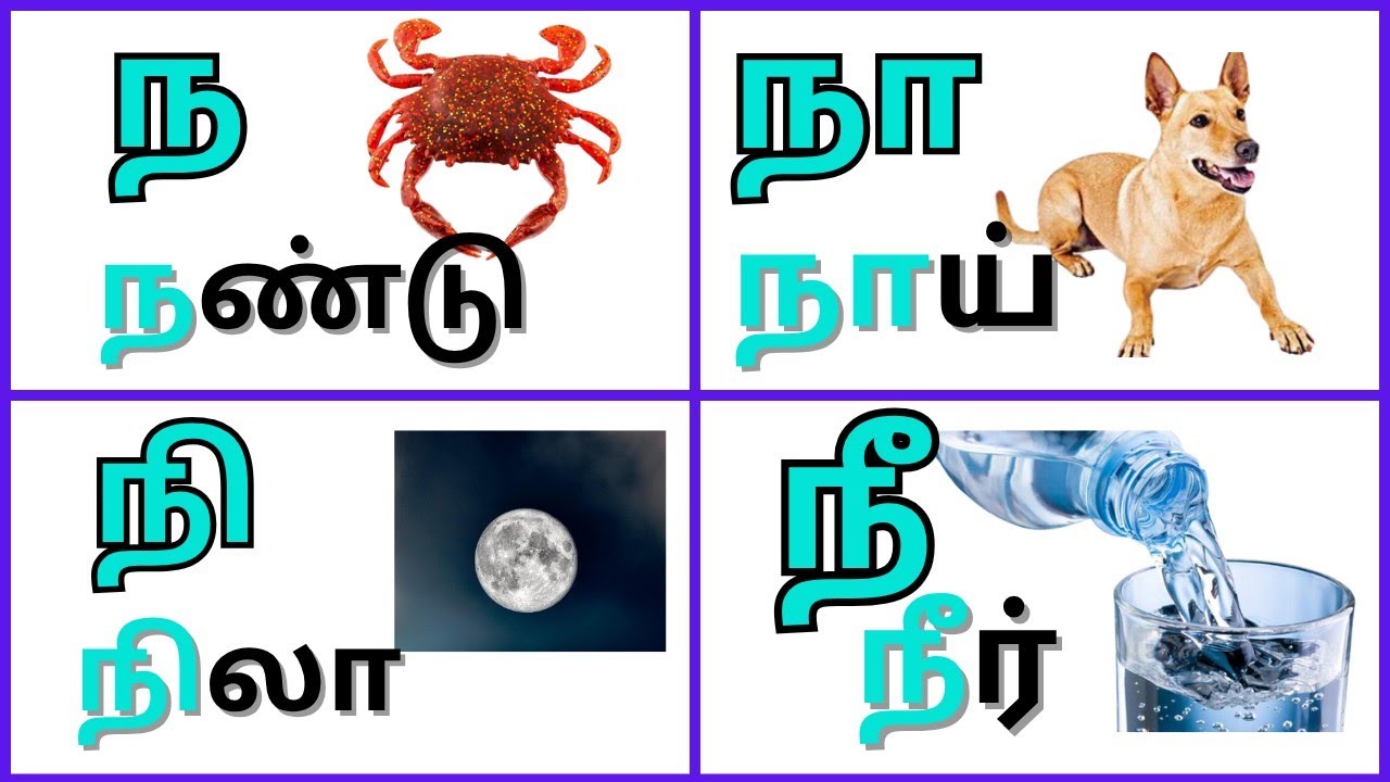 ந நா நி வரிசை சொற்கள் | tamil varisai sorkkal | Learn tamil Ezhuthukkal ...