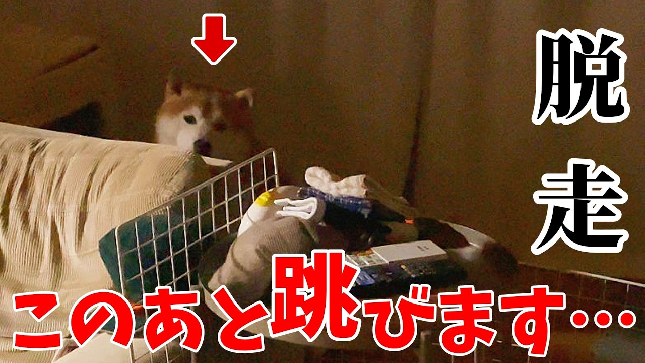 I want to sleep with you] An incident occurs in the middle of the