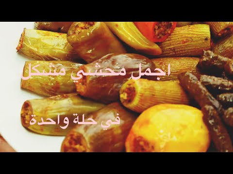 محشي مشكل في حلة واحدة وسر خلطة المحشي الخطيرة والتسوية الصحيحة لخاطر عيون تناهيد الوفا بنت السعودية