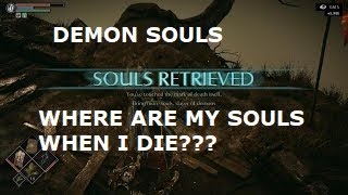 Demon's Souls Where are my Souls After Dying?? Souls Retrieved or Lost Forever?  Up to you.