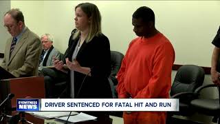 Man sentenced for deadly hit-and-run