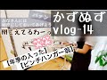 かずぬずvlog-14【年季の入った】【ピンチハンガー】