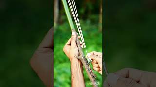 natural homemade slingshot #shortfeed #slingshot