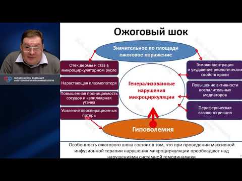 Патофизиология ожоговой травмы Афончиков В.С.