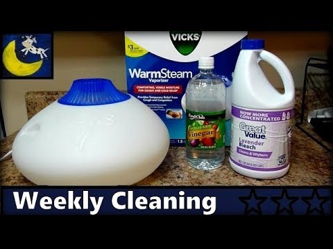 How to Clean Vicks Warm Steam Vaporizer - Disinfect & Descale