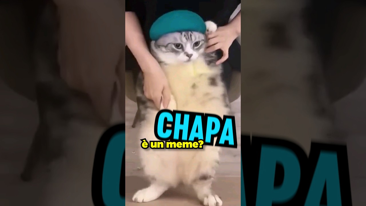 Perché CHIPI CHIPI CHAPA CHAPA è MEME?