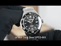 Le Jour Coral Diver LJ-CD-001