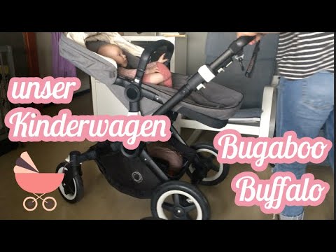 Video: Wurde der Bugaboo Buffalo eingestellt?