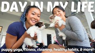 PRODUCTIVE DAY IN MY LIFE - Sunday Reset Vlog (puppy yoga, cleaning, healthy habits, & more!)