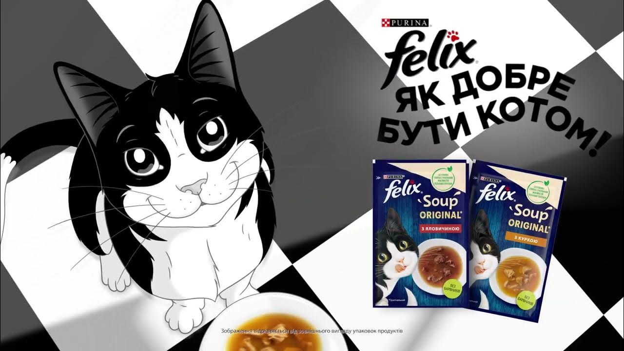 Felix® «Як добре бути котом!» Пригостіть котика фантастичною смакотою ...