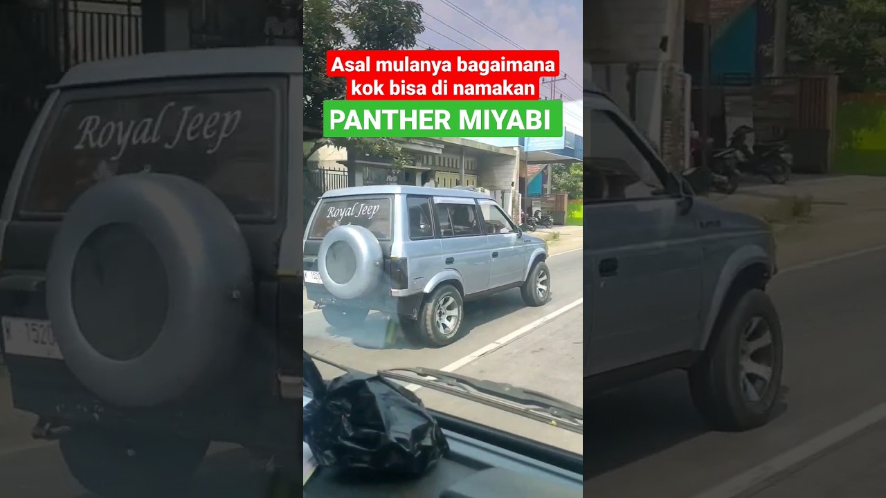 PANTHER MANIA PASTI TAU ALASANNYA 😁