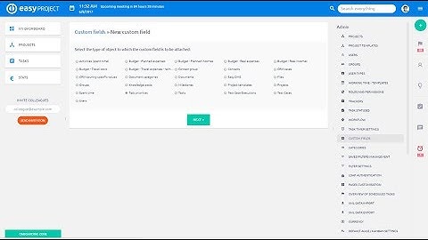Custom Fields - EasyProject.com