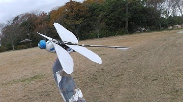 Dragonfly21-11 with Wing flapping amplitude change system: Test Flight 5
