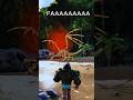 #arksurvivalevolved #ark #dinosaur #arksurvivalascended #indominusrex #shorts #arkshorts