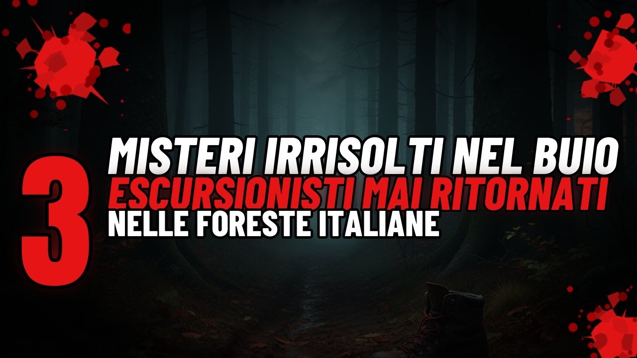 Spariti nel Bosco: 3 Misteri Irrisolti delle Foreste Italiane