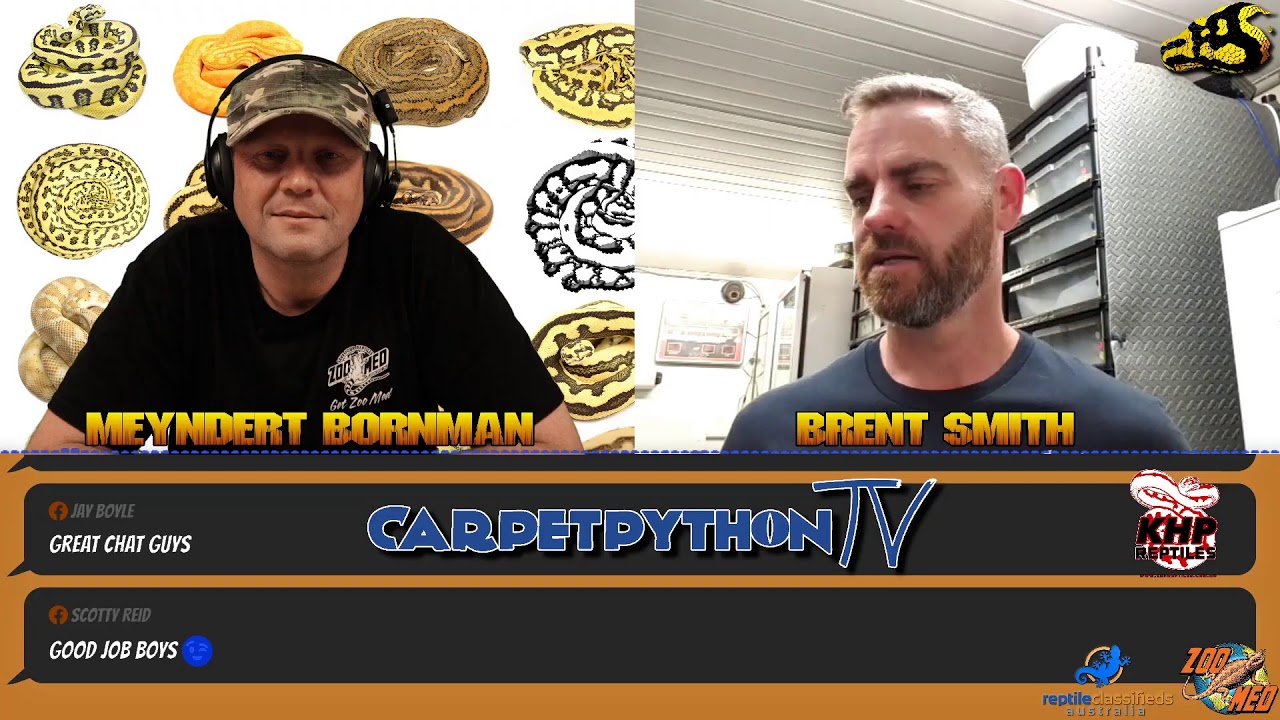 Into the Lair with KHP Reptiles!