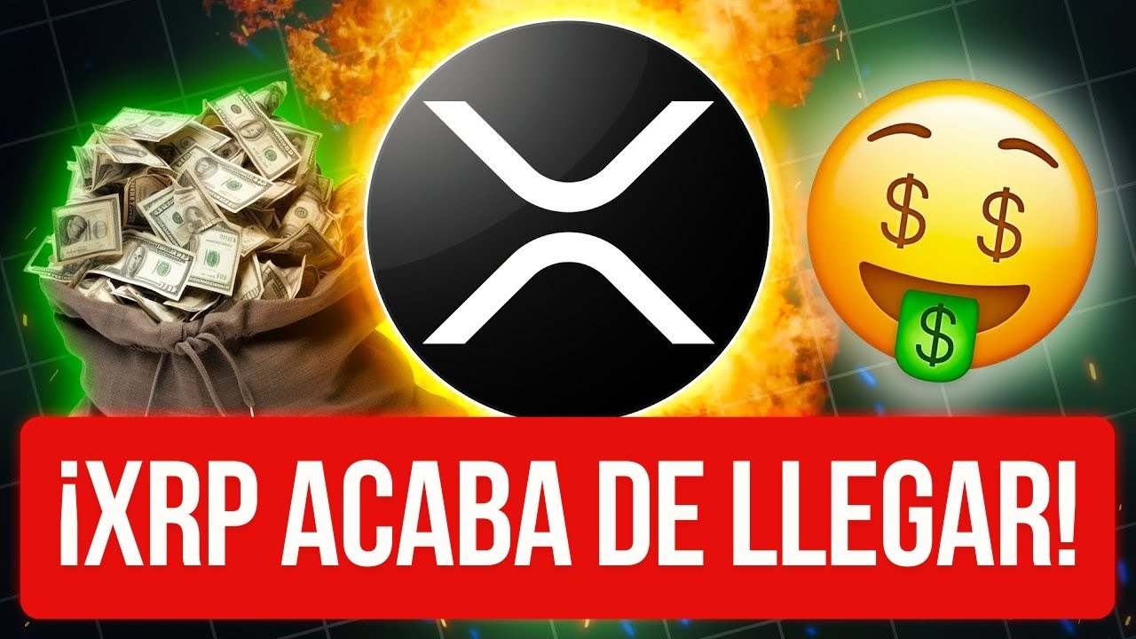 ¡ÚLTIMO MOMENTO: CIFRAS DEL ETF DE XRP! 🚨