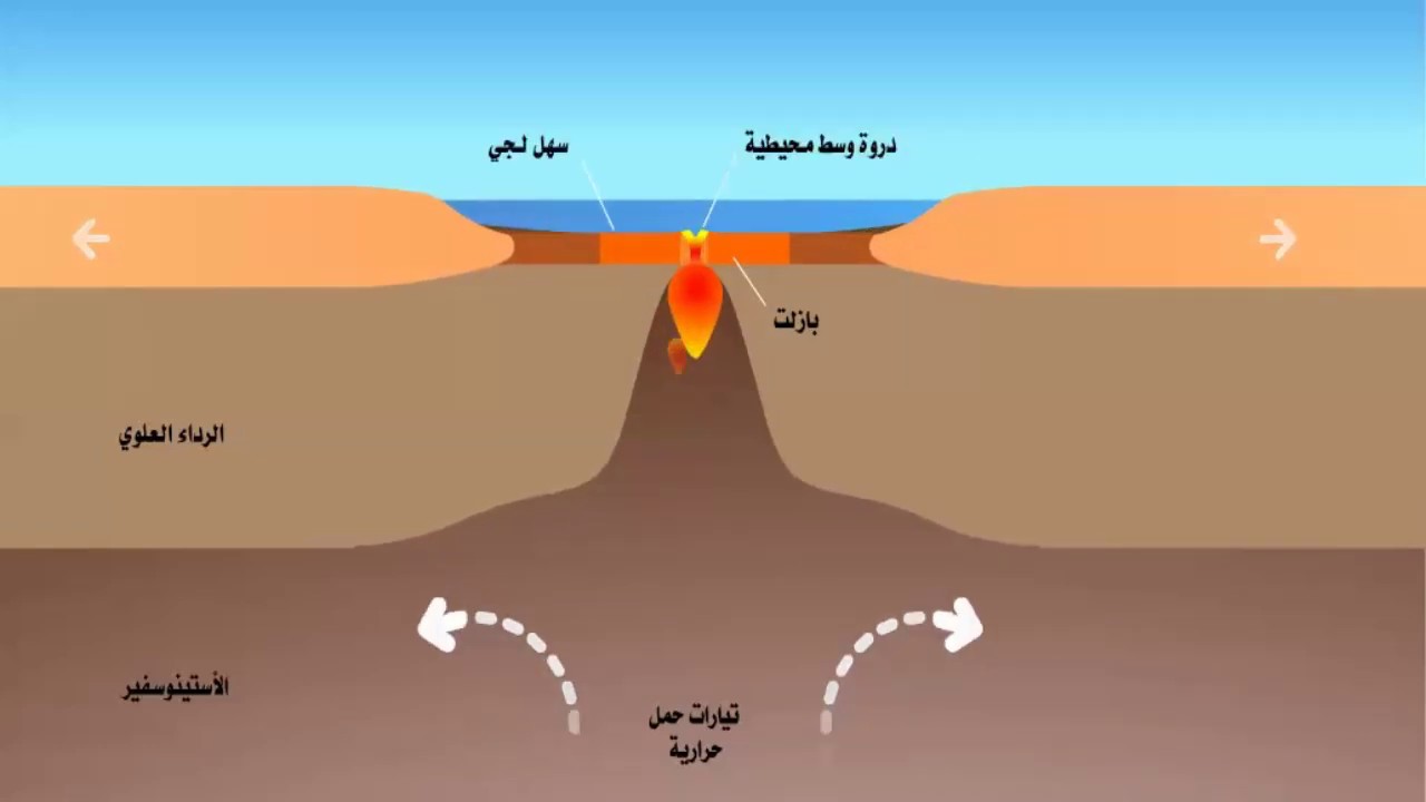 فلاش تعليمي سريع للسنة الثالثة متوسط نشاط الظهرات وإتساع قعر المحيط