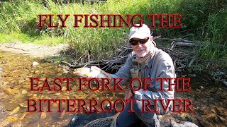 Fly Fishing the East Fork of the Bitterroot River with my Buddy Alan