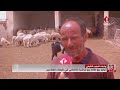 نشرة الظهر للأخبار ليوم 09 05 2026