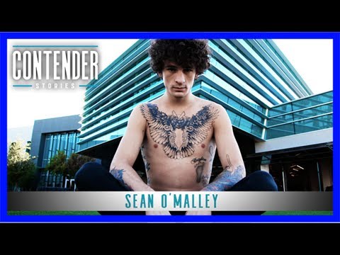 Download Contender stories: sean o'malley