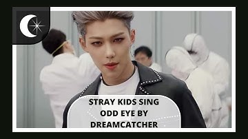 How Would Stray Kids Sing 