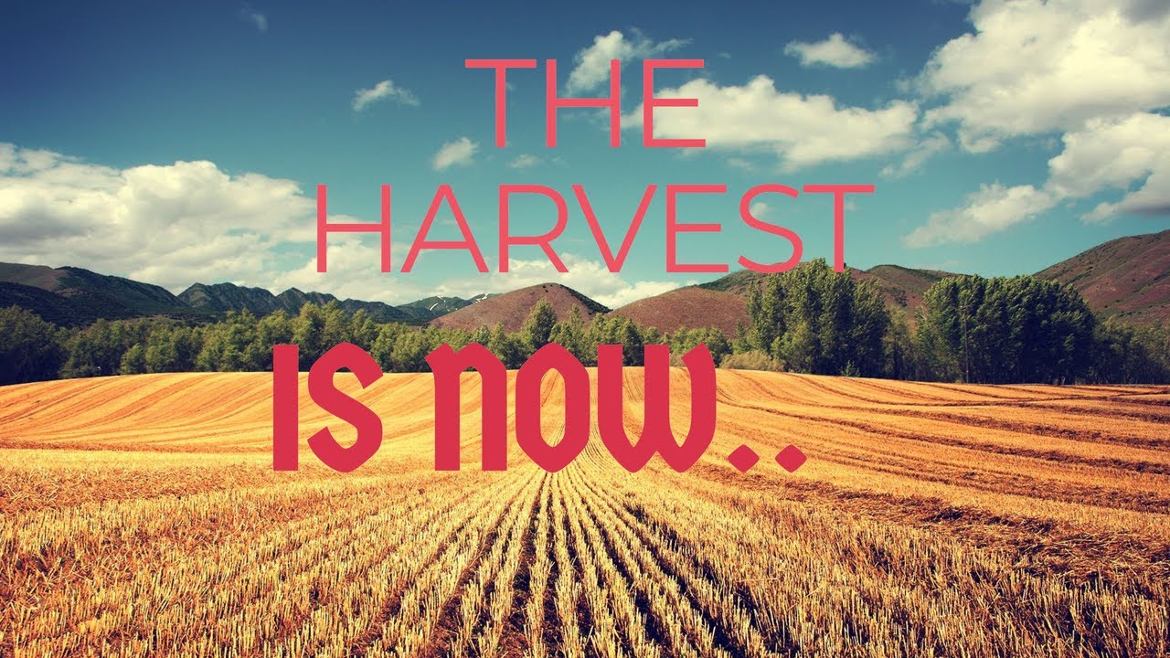 THE HARVEST IS NOW with BLAISE MIRINDI https://fb.watch/60BwikxrAc/
