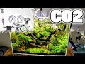 Optimizing Your CO2 | Surface Scum & Light CO2 Relationship | Aquascaping