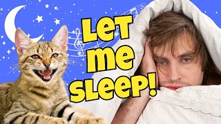 HELP! My Cat Won’t Let Me Sleep!