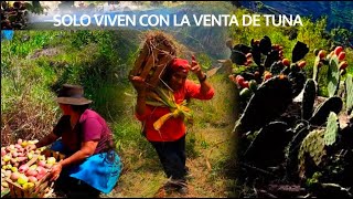 Una pareja que viven vendiendo tuna en los andes del Perú.